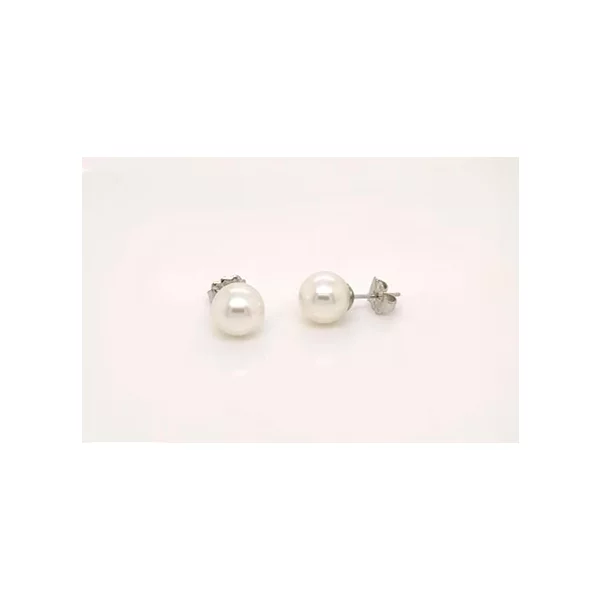 Akoya-Studs